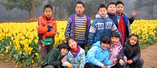 漫步郁金香的花海,感受歐洲的春天--小學部三年級同學春游石象湖